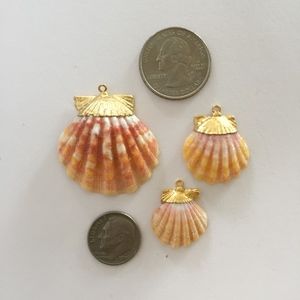 Gold-dipped Sunrise Shells